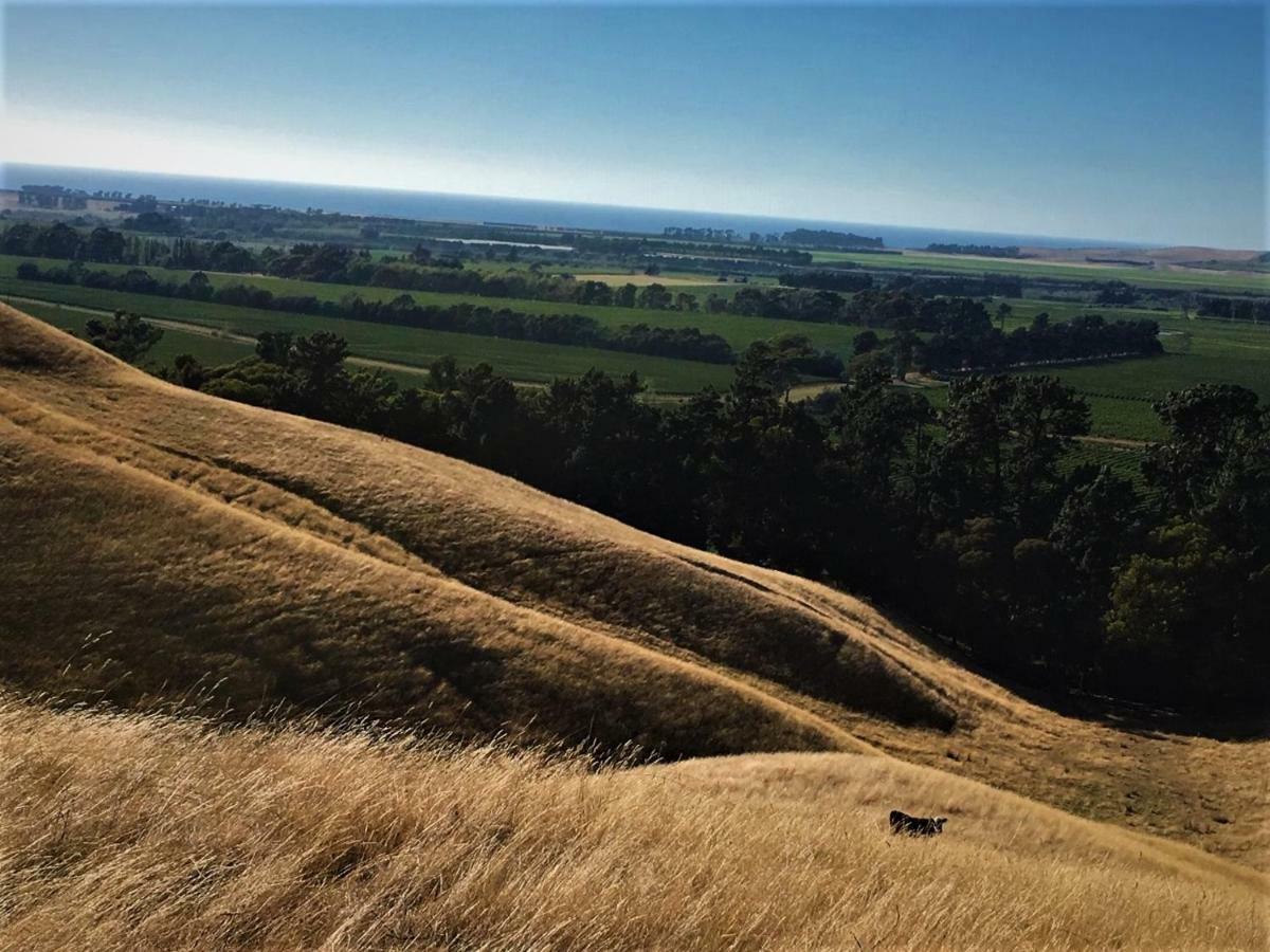 Hill Top Retreat Lower Dashwood Esterno foto